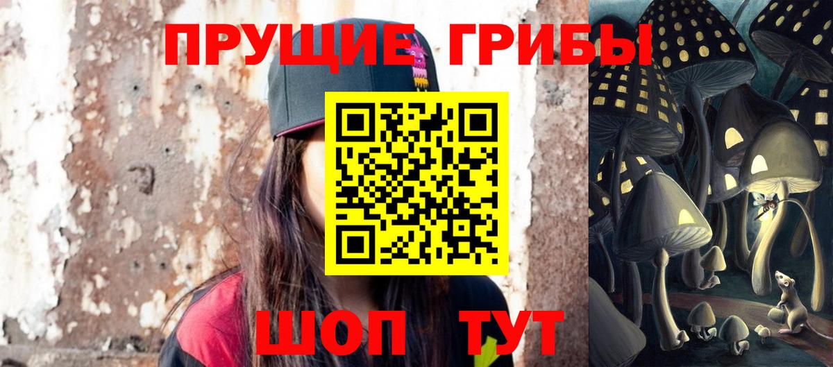 Тайшет  что такое наркотик  Галлюциногенные грибы ЛСД  Вход с VPN  Псилоцибиновые грибы Cubensis 